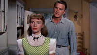 «Тэмми и холостяк (1957)» — обои к фильму #9