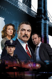 Постер сериала «Голубая кровь (2010 - 2024)» — (37 из 149)