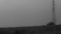 Обои к фильму «Рождённый убивать (1967)» — (11 из 37)