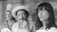 «Банда старой девственницы (1979)» — обои к фильму #1
