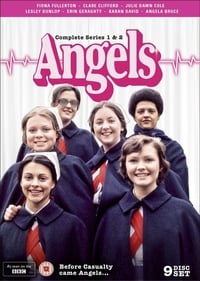 copertina serie tv Angels 1975