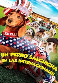 Poster de Un perro salchicha en las internacionales