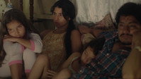«Пробуждение муравьев (2019)» — обои к фильму #9