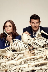 Постер сериала «Кости (2005 - 2017)» — (35 из 181)