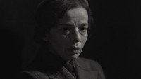 «Дневник Дианы Будисавлевич (2019)» — обои к фильму #1