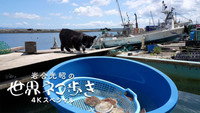 Aomori