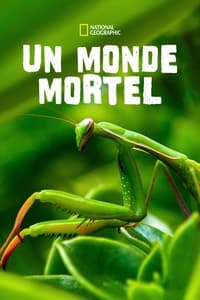 Un monde mortel (2010)