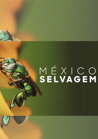 Mexico Selvagem S01E03