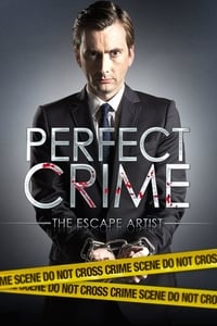 Perfect Crime (2013)