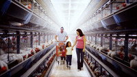 «Отравленные: Опасность в продуктах питания (2023)» — обои к фильму #1
