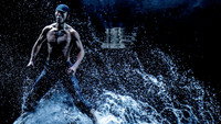 «A Swan Lake (2014)» — обои к фильму #3