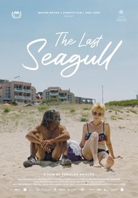 The Last Seagull poster