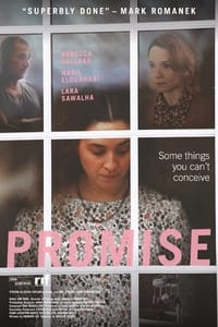 Promise (2017)