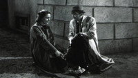 «Svet kde se zebrá (1938)» — обои к фильму #1