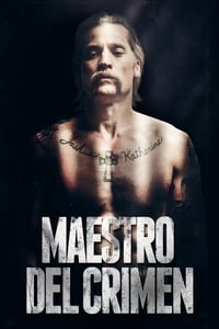 Poster de Maestro del crimen