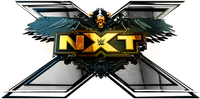 Логотип сериала «WWE NXT (2010)» — (5 из 58)