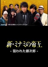 新・ミナミの帝王〜狙われた銀次郎〜 (2013)