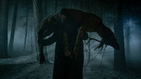 «Существо (2023)» — обои к сериалу #3