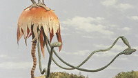 The Flying Jellyfish