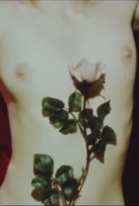 Der Rote Blau (1971)