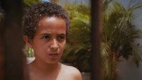«A Casa do Doido Alexandre (2017)» — обои к фильму #2