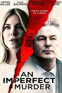 Постер фильма «Неидеальное убийство (2017)» — (5 из 12)
