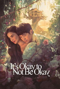 It’s Okay to Not Be Okay (2025) Season 1 Hindi ORG Dubbed Complete K-Drama WEB Series 720p 1080p WEB-DL