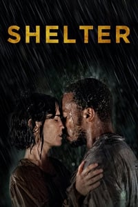 Poster de Shelter