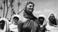 «Африка за морями (1953)» — обои к фильму #1
