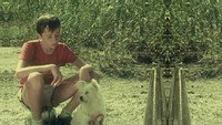 «Эгрета из слоновой кости (1988)» — обои к фильму #1