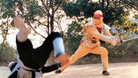 «The Power of Ninjitsu (1988)» — обои к фильму #1