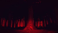 «100,000 Acres of Pine (2020)» — обои к мультфильму #2