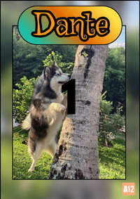 Season 1 Poster