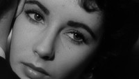 «Место под солнцем (1951)» — обои к фильму #4