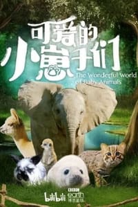 The Wonderful World of Baby Animals - Season 1