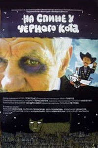 On the back of a black cat