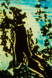 Imagem do Filme Pursuit / Flight