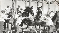 «The Lady's from Kentucky (1939)» — обои к фильму #1