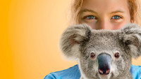«Izzy's Koala World (2020)» — обои к сериалу #2