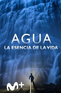 Water; Life's essence