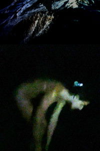 Imagem do Filme Cowpoke