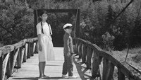 Обои к фильму «Дерево без листьев (1986)» — (25 из 34)