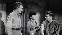 «Прогулка по гордой земле (1956)» — обои к фильму #1