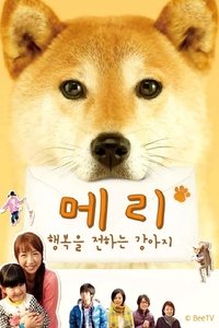 いぬのメリー 幸せを運ぶ伝書犬