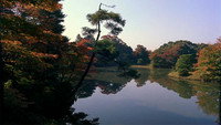 «Dream Window: Reflections on the Japanese Garden (1992)» — обои к фильму #1