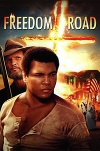 Poster de Freedom Road