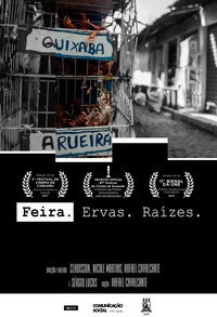 Feira. Ervas. Raízes.