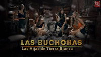 «Las Buchonas de tierra blanca (2017)» — обои к сериалу #1