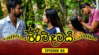 Episode 66
