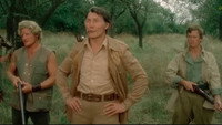 «Ваша честь (1973)» — обои к фильму #1